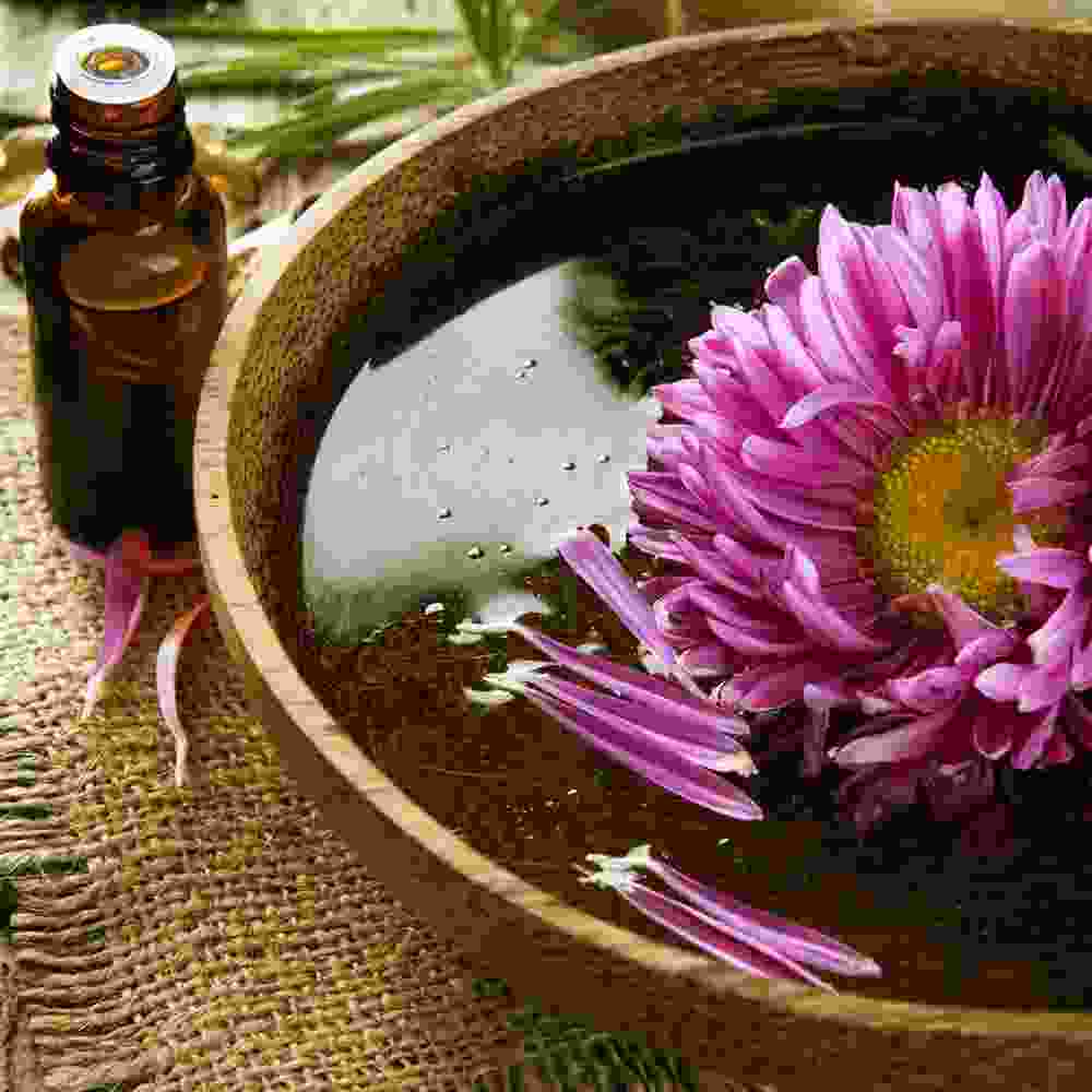 Shop Primary Image Shop Primary Image